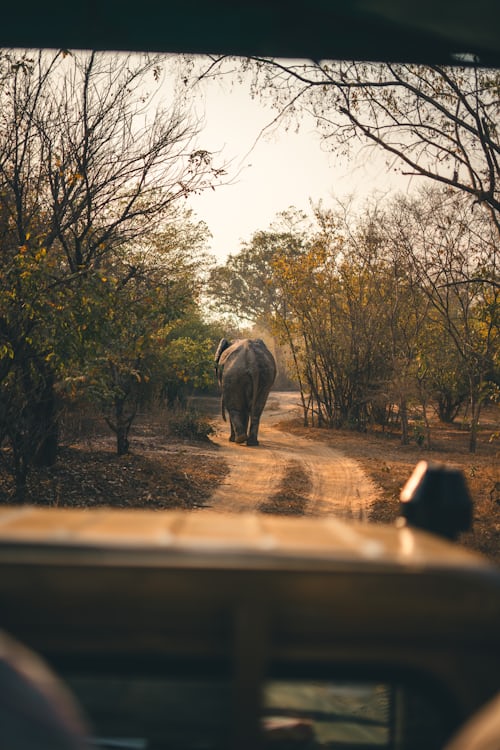 Africa